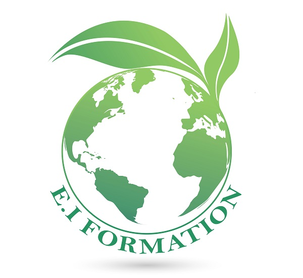 EI FORMATION